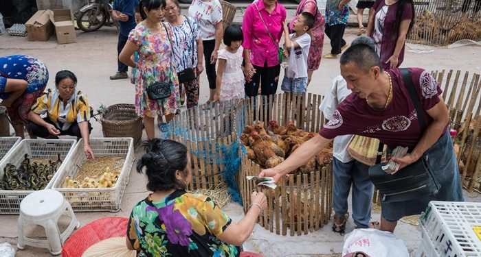 Çin’de pandemi riski taşıyan yeni grip virüsü keşfedildi