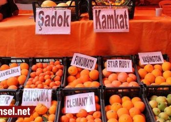 Narenciyede fiyat artacak: Üretici ve tüketiciyi koruyacak politika gerekiyor