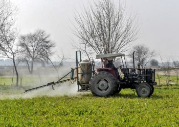 Türkiye’de Tarımda Dijital Pazar Belirsizliği