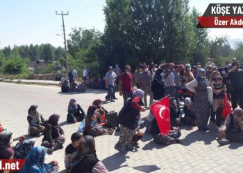 Köylülere ‘devlet nedir’ dersi