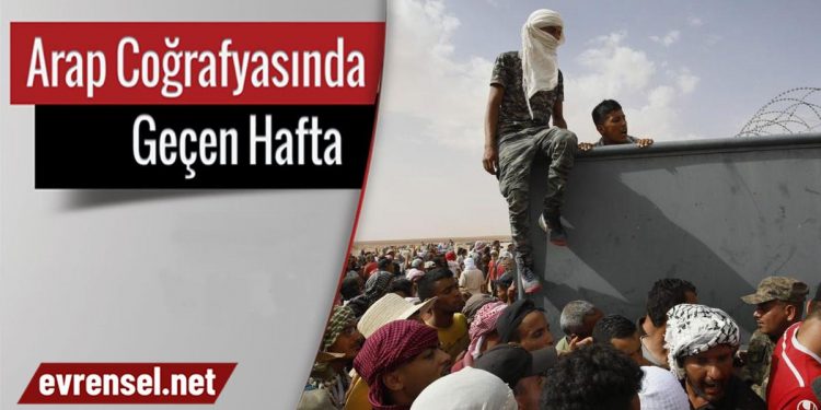 Tunus’ta hükümet neden çöktü?