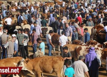 Besiciler: Zararına bir satış yapıyoruz, durumumuz iyi değil