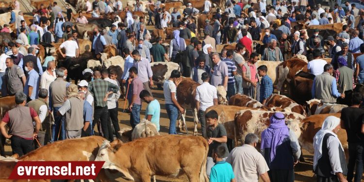 Besiciler: Zararına bir satış yapıyoruz, durumumuz iyi değil
