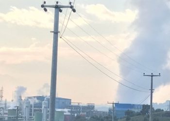 “Ekolojik Yıkımlar Devam Etti”