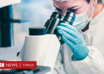 Bilim insanları 100 yıldır aradıkları metal yiyen bakteriyi tesadüf eseri buldu