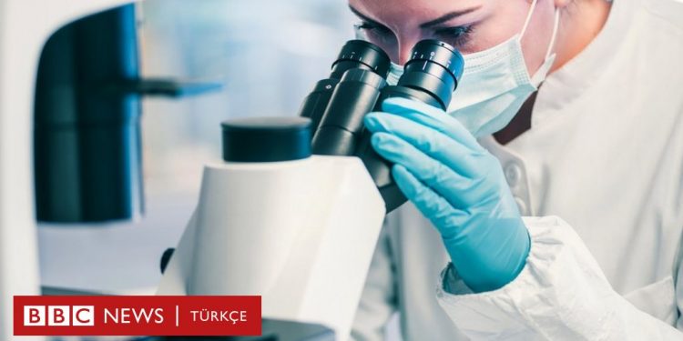 Bilim insanları 100 yıldır aradıkları metal yiyen bakteriyi tesadüf eseri buldu