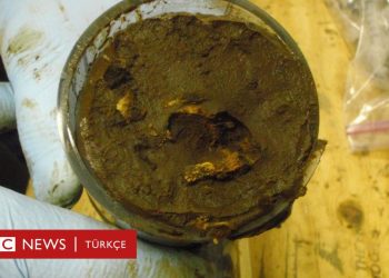 Bilim insanları 100 milyon yıldan uzun süredir deniz dibinde ‘uyur halde’ olan mikropları canlandırdı