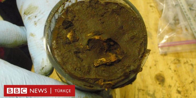 Bilim insanları 100 milyon yıldan uzun süredir deniz dibinde ‘uyur halde’ olan mikropları canlandırdı