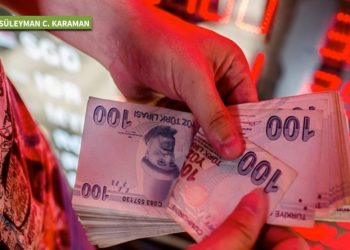 Türkiye ekonomisi neden batmadı?