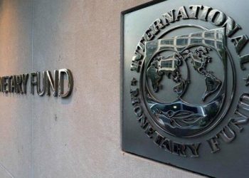 IMF: Ekonomi yüzde 4,9 küçülecek
