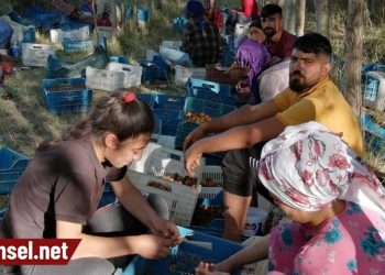 1 yevmiye 1 bebek maması etmiyor, mevsimlik işçi köle mi!