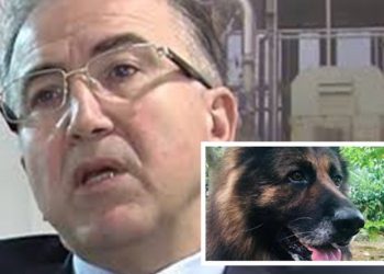 ABD’li firma, genel müdürünün köpek öldürdüğü Türkiye’deki bayisi ile iş ilişkisini sonlandırdı