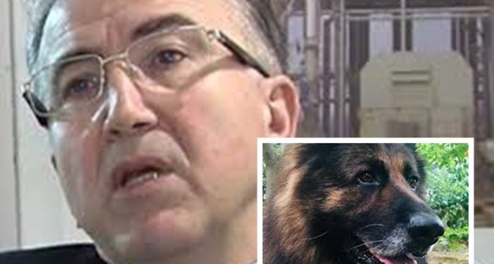 ABD’li firma, genel müdürünün köpek öldürdüğü Türkiye’deki bayisi ile iş ilişkisini sonlandırdı