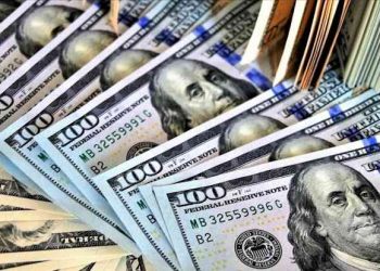 Uğur Gürses: Hazine bir nevi ‘yerli doları’ basıyor