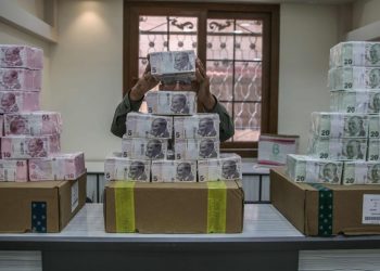 Mahfi Eğilmez: Türkiye’nin kredibilitesi