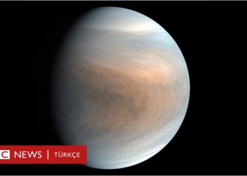 Venüs’ün atmosferinde yaşam var mı?