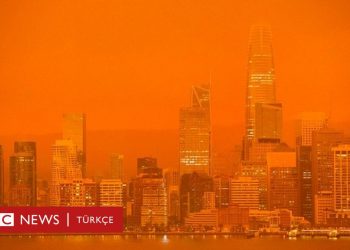 Trump: Bilimin gerçekten bildiğini sanmıyorum