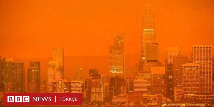 Trump: Bilimin gerçekten bildiğini sanmıyorum