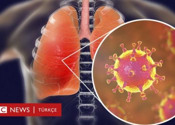 Hollandalı bilim insanları: Koronavirüse karşı bağışıklık endişe verici derecede kısa