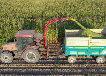 Buğday, arpa ve mısır ithalatında gümrük vergisi geçici olarak sıfırlandı