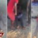Türkiye-Yunanistan sınırında mültecileri rehin alan mafya, işkence edip fidye istiyor