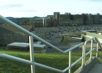 Türkiye’den Amerika’ya Bir “Beyin” Göçünün Hikayesi