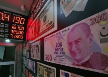 “Türk Lirasında Değer Kaybı Sürecek”