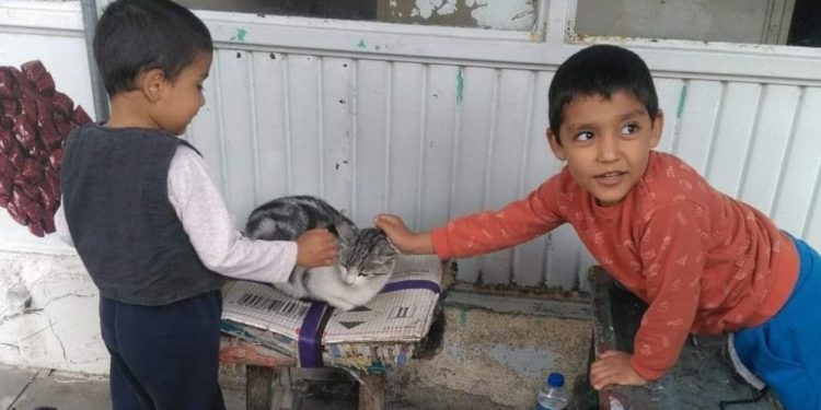 Çocukların her gün yetim ve öksüz bırakıldığı ülke!