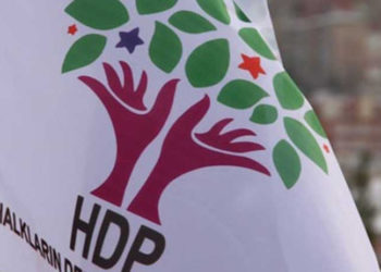 HDP binasına girip flamayı indirdiler