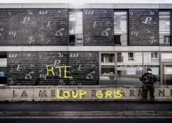 Erdoğan’ın Avrupalı fedaileri: Bozkurt ve Hilal