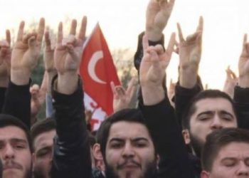 Alman Federal Meclisi aşırı sağcı olarak nitelediği ülkücü hareketi yasaklıyor