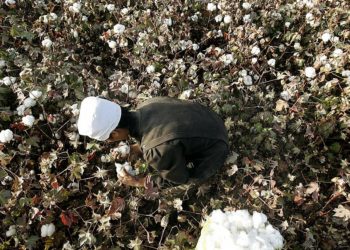 İngiltere: Uygur Türklerinin zorla çalıştırıldığına dair kanıtlar inandırıcı