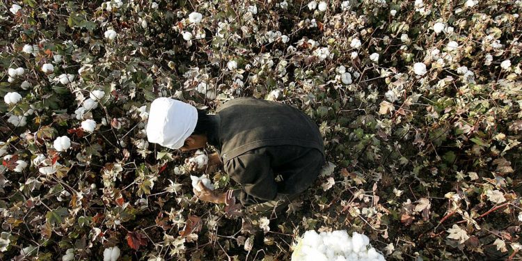 İngiltere: Uygur Türklerinin zorla çalıştırıldığına dair kanıtlar inandırıcı