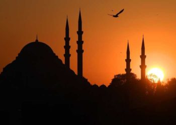 Mısır’dan Türkiye’ye ‘apolitik’ göç dalgası