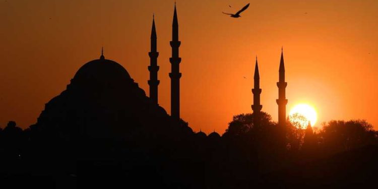 Mısır’dan Türkiye’ye ‘apolitik’ göç dalgası