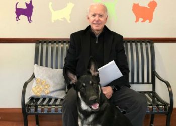 Köpeği ile oynarken düşen Joe Biden’ın ayağında çatlak oluştu