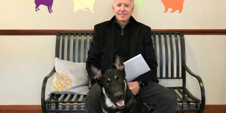 Köpeği ile oynarken düşen Joe Biden’ın ayağında çatlak oluştu