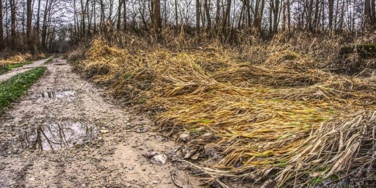 NASA açıkladı: ‘Türkiye yoğun bir kuraklık yaşıyor’