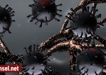 Brezilya’da Kovid-19’un 18 mutasyonunun birleşiminden oluşan yeni varyanta rastlandı