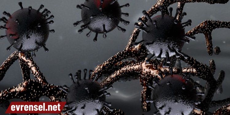 Brezilya’da Kovid-19’un 18 mutasyonunun birleşiminden oluşan yeni varyanta rastlandı