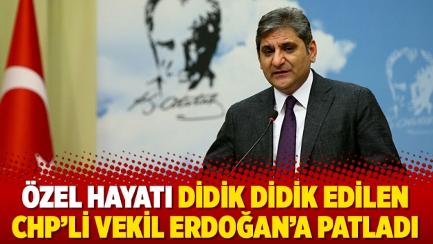 Özel hayatı didik didik edilen CHP’li vekil Erdoğan’a patladı