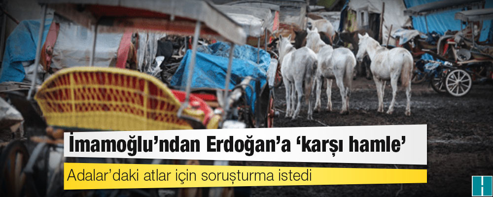 İmamoğlu’ndan Erdoğan’a ‘karşı hamle’: Adalar’daki atlar için soruşturma istedi