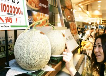 Japonya’da ünlü Yubari kavunlarının tanesi 24 bin 800 dolara satıldı