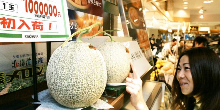 Japonya’da ünlü Yubari kavunlarının tanesi 24 bin 800 dolara satıldı