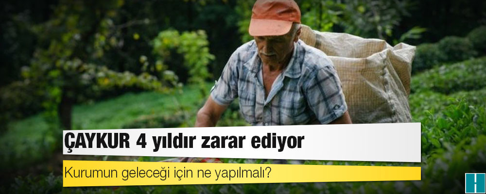 ÇAYKUR 4 yıldır zarar ediyor: Kurumun geleceği için ne yapılmalı?