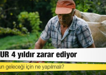 ÇAYKUR 4 yıldır zarar ediyor: Kurumun geleceği için ne yapılmalı?