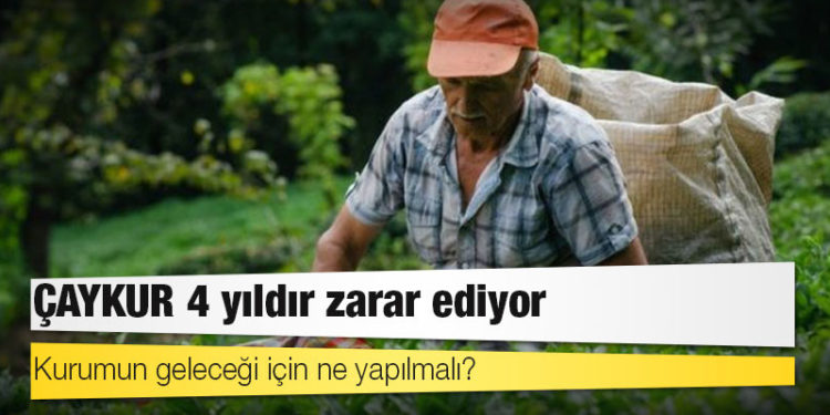 ÇAYKUR 4 yıldır zarar ediyor: Kurumun geleceği için ne yapılmalı?