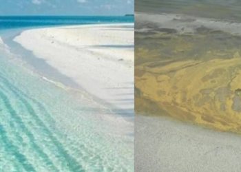 AKP, ‘Türkiye’nin Maldivleri’ Salda Gölü’nü bu hale getirdi