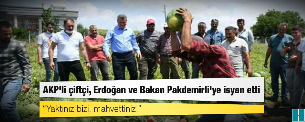 AKP'li çiftçi, Cumhurbaşkanı Erdoğan ve Bakan Pakdemirli'ye isyan etti: Yaktınız bizi, mahvettiniz!