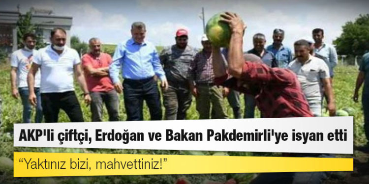 AKP'li çiftçi, Cumhurbaşkanı Erdoğan ve Bakan Pakdemirli'ye isyan etti: Yaktınız bizi, mahvettiniz!